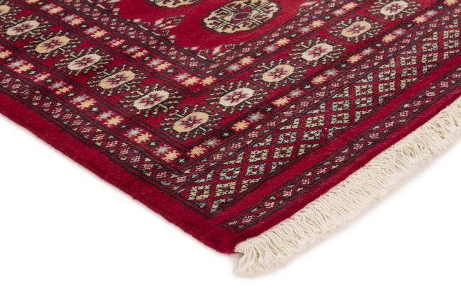 Pakistan Buchara 2ply - 3
