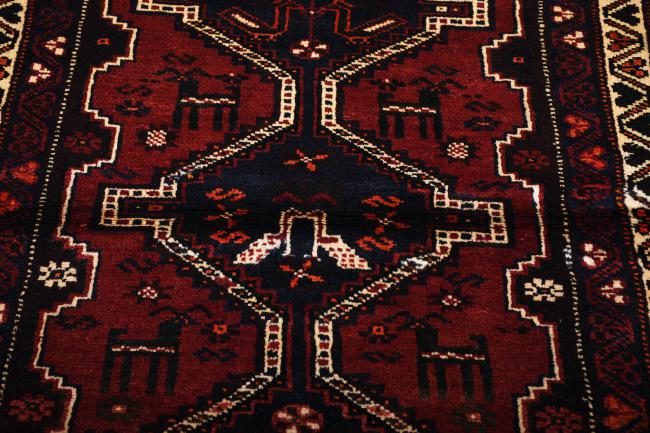 Shiraz - 4