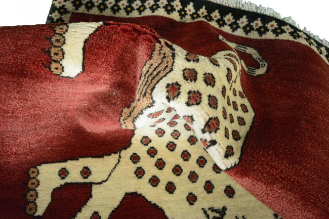 Persia Gabbeh Ghashghai - 9