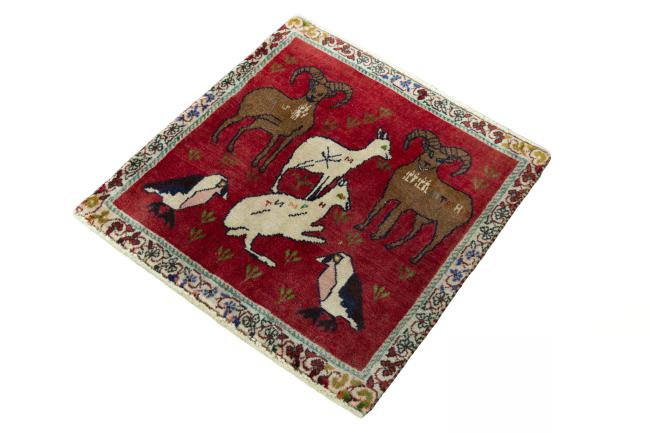 Shiraz - 1