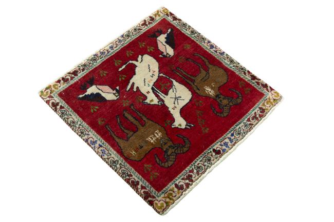 Shiraz - 2