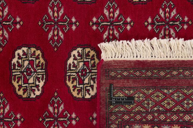 Pakistan Buchara 2ply - 1