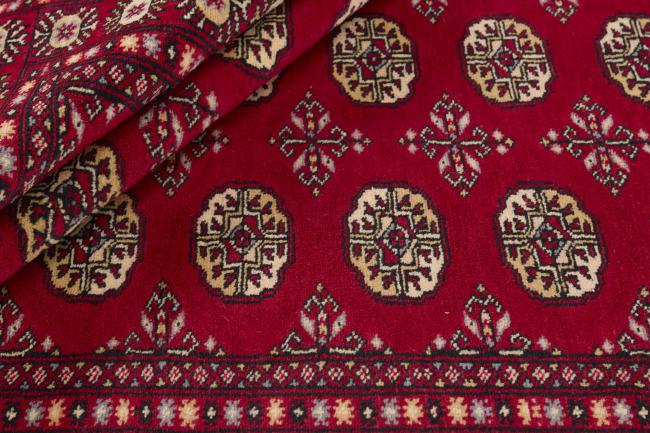Pakistan Buchara 2ply - 2