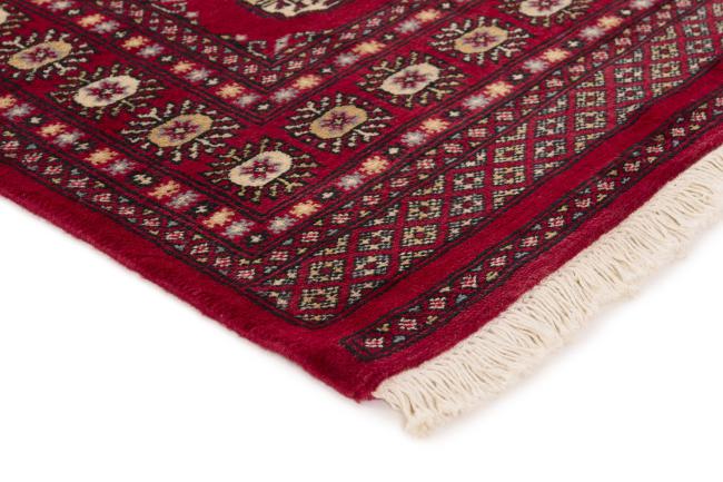 Pakistan Buchara 2ply - 3