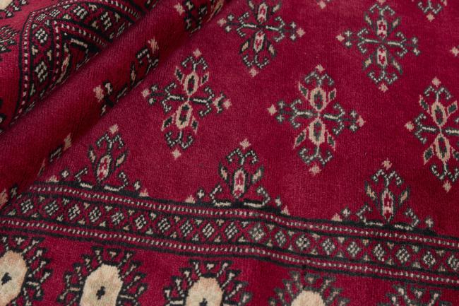 Pakistan Buchara 2ply - 2