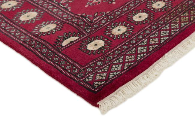Pakistan Buchara 2ply - 3