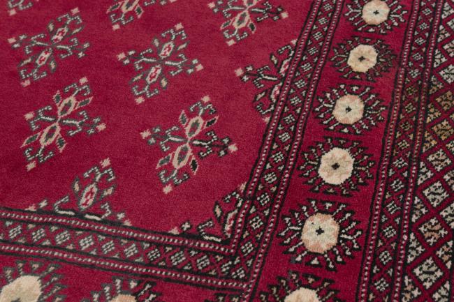 Pakistan Buchara 2ply - 4