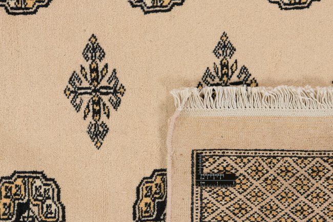 Pakistan Buchara 2ply - 1