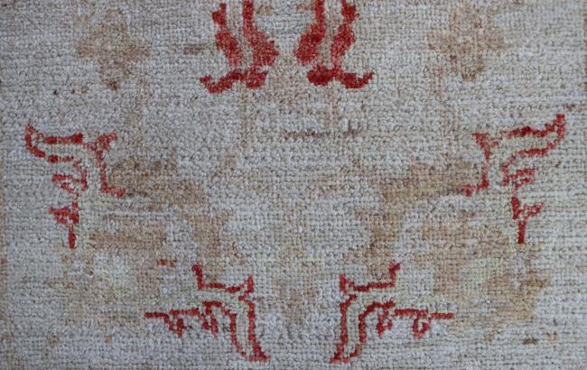 Ziegler Farahan Arijana - 10