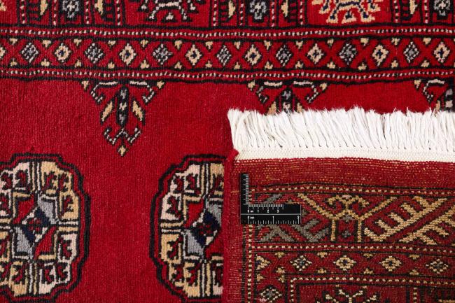 Pakistan Buchara 2ply - 1