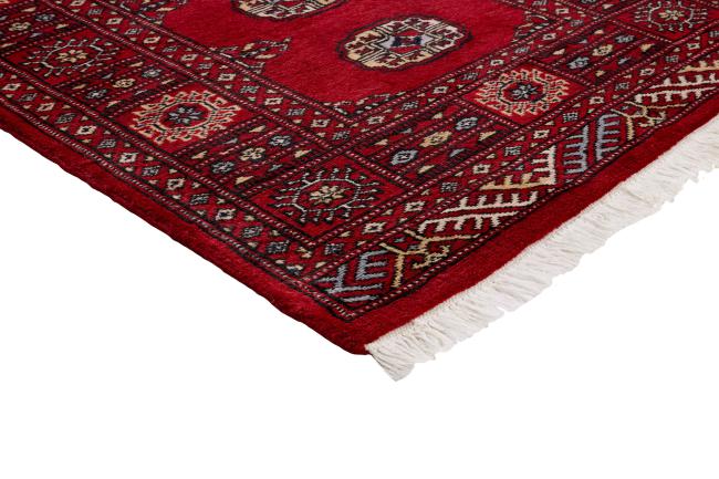 Pakistan Buchara 2ply - 3