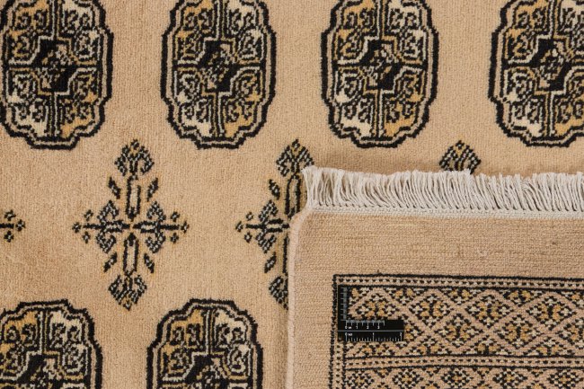 Pakistan Buchara 2ply - 1