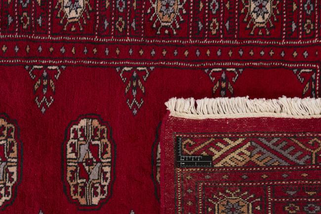 Pakistan Buchara 3ply - 1