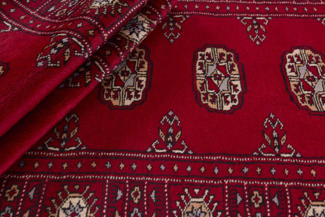 Pakistan Buchara 3ply - 2