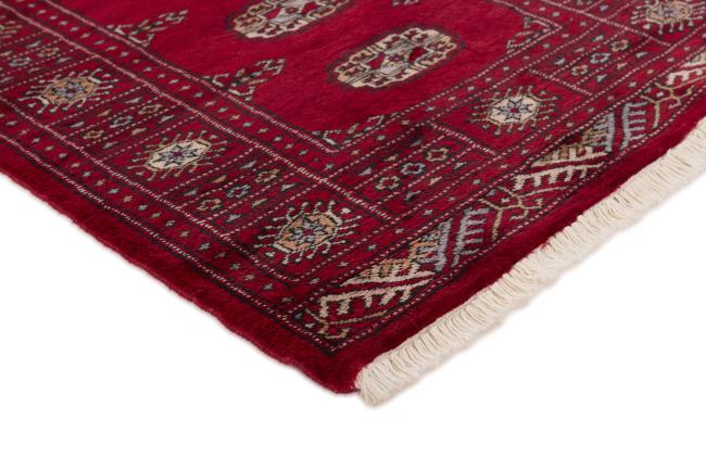 Pakistan Buchara 3ply - 3