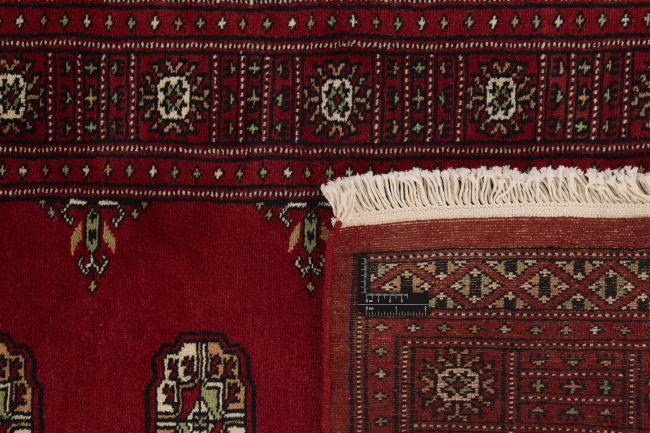 Pakistan Buchara 2ply - 1