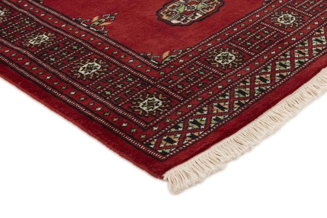 Pakistan Buchara 2ply - 3