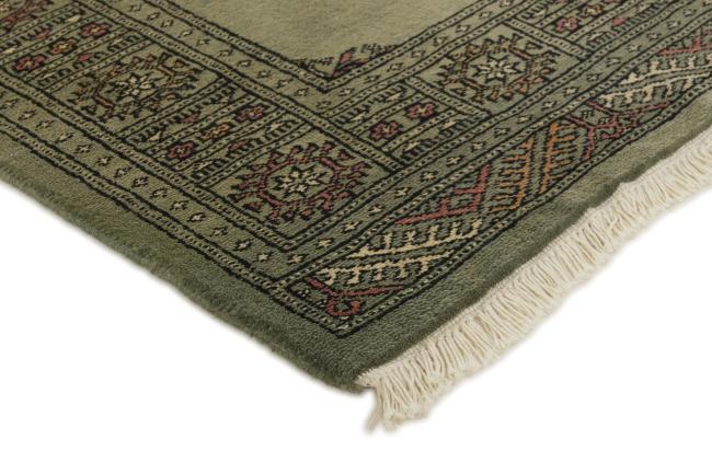 Pakistan Buchara 3ply - 3