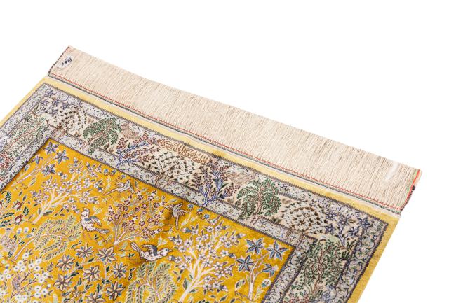 Nain 6La de Seda - 3