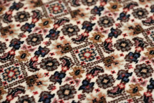Tabriz Mahi - 9