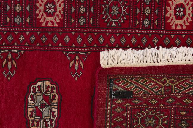 Pakistan Buchara 3ply - 1