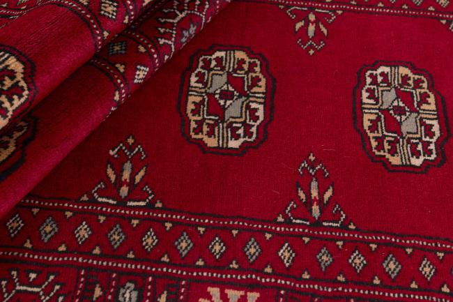 Pakistan Buchara 3ply - 2