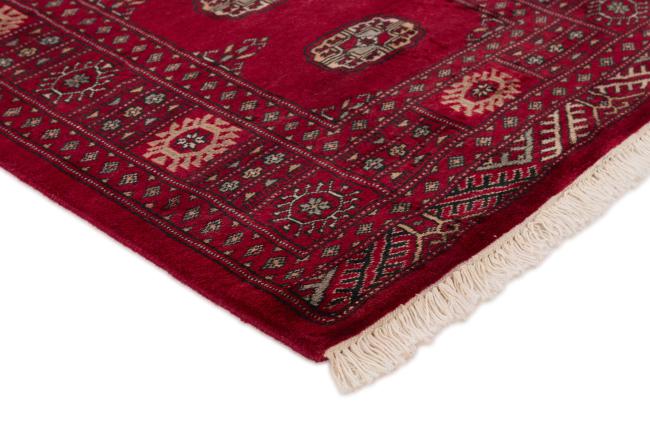 Pakistan Buchara 3ply - 3