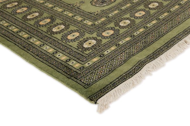 Pakistan Buchara 2ply - 3
