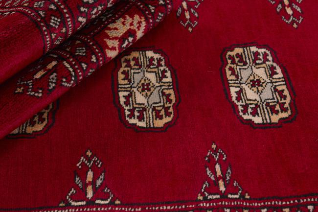 Pakistan Buchara 3ply - 2
