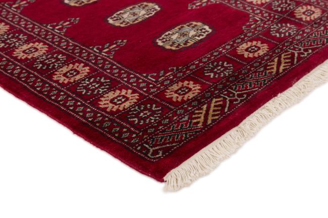 Pakistan Buchara 3ply - 3