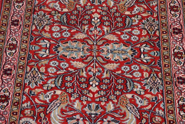 Kashmir Silkki - 3
