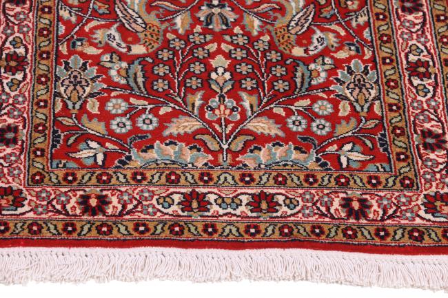 Kashmir Silkki - 4