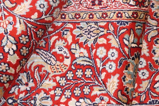 Kashmir Silkki - 8