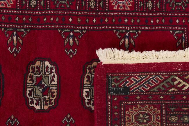 Pakistan Buchara 3ply - 1