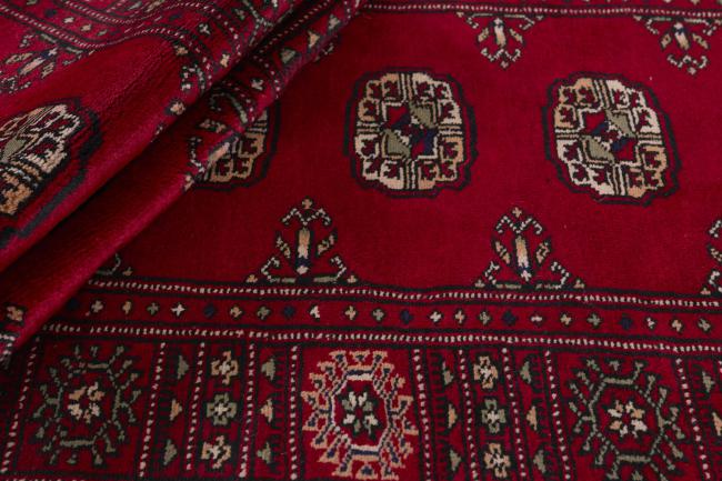 Pakistan Buchara 3ply - 2