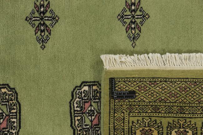 Pakistan Buchara 2ply - 1
