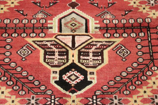 Shiraz - 7
