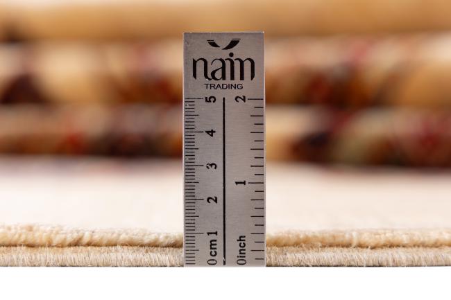 Arijana Baktjari - 9