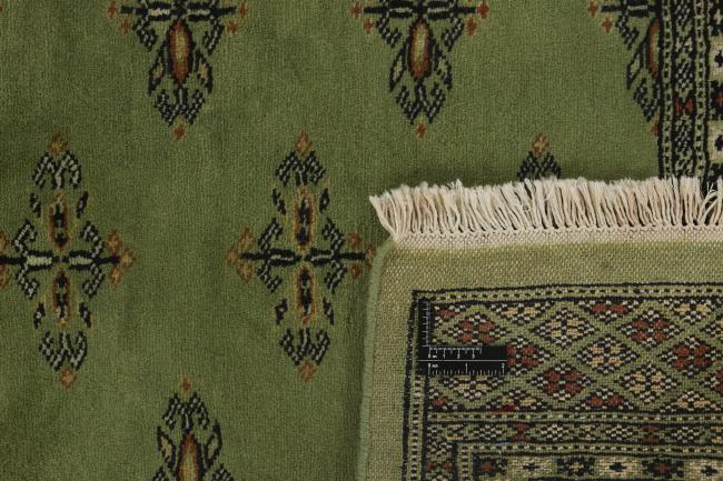 Pakistan Buchara 2ply - 1