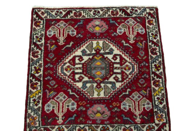 Shiraz - 3