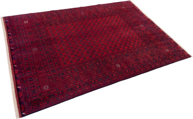 Afghan Mauri - 1
