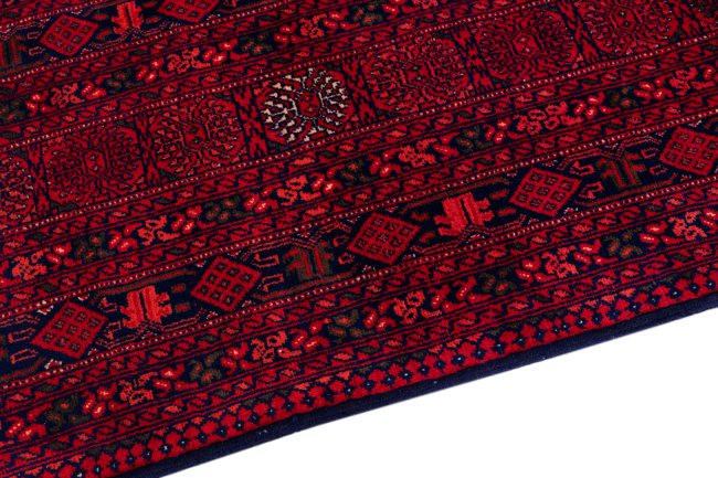 Afghan Mauri - 4