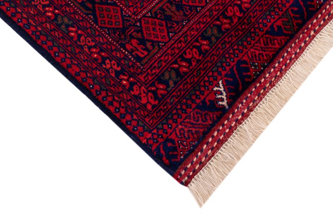 Afghan Mauri - 5