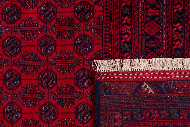 Afghan Mauri - 6