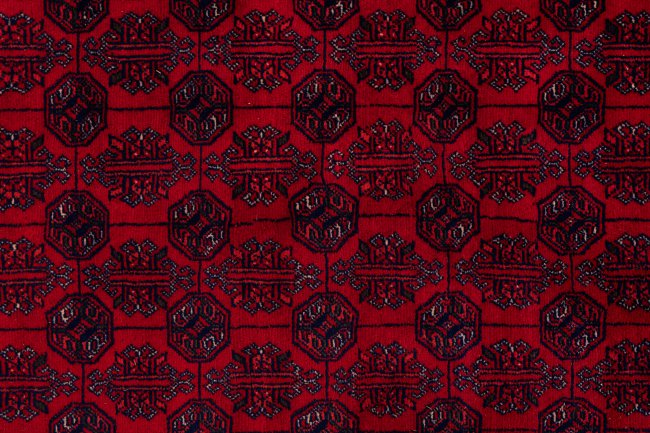 Afghan Mauri - 7
