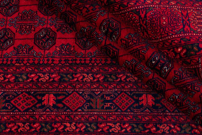 Afghan Mauri - 8
