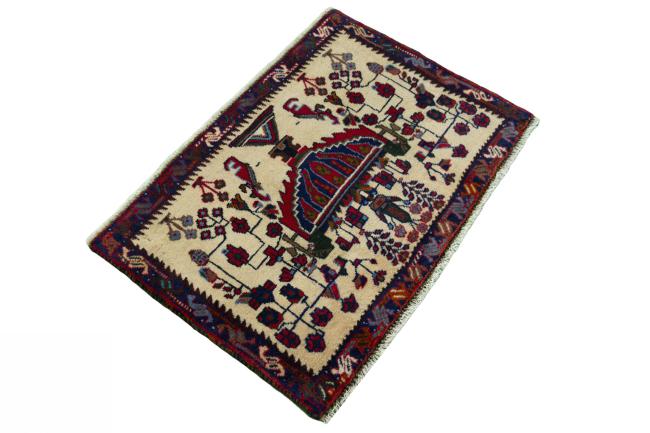 Shiraz - 2