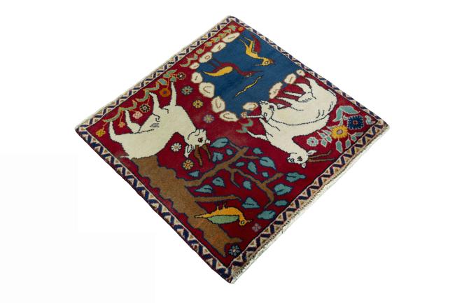 Shiraz - 2