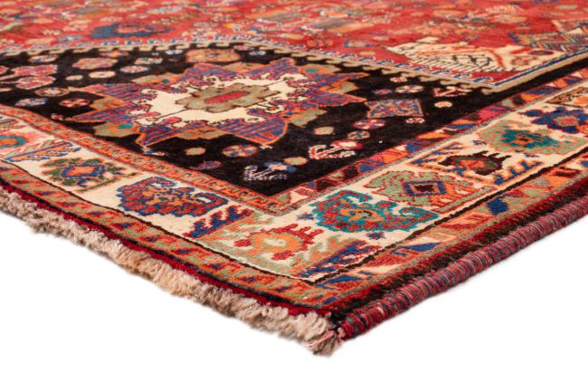 Shiraz - 4