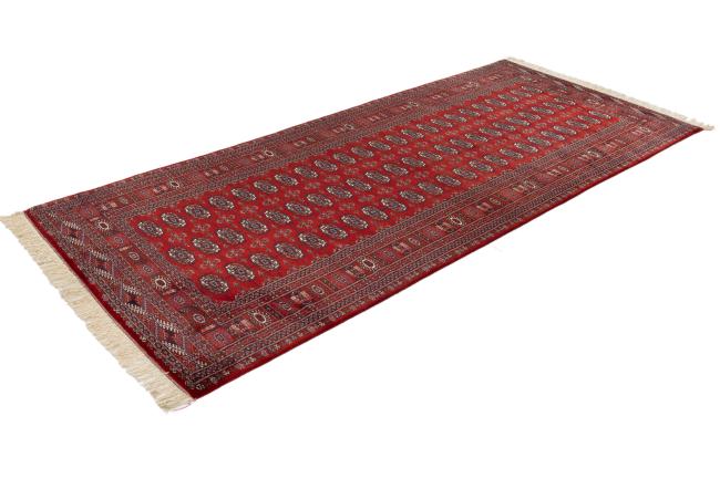 Pakistan Buchara 3ply - 1